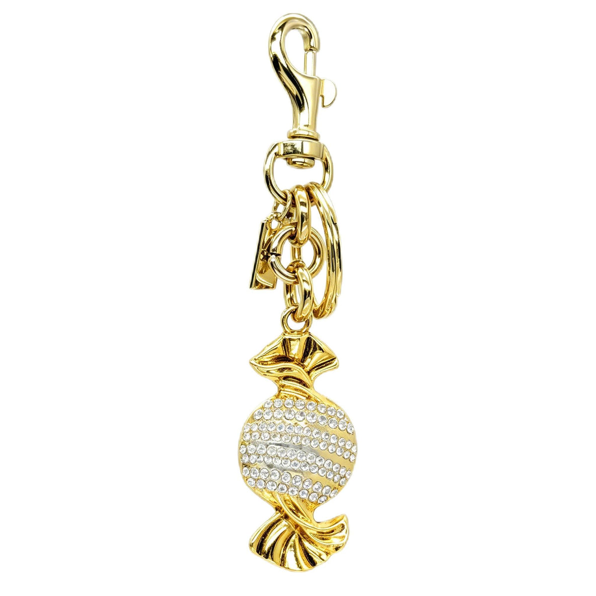 Gold Purse Chain Bag Charm for Women