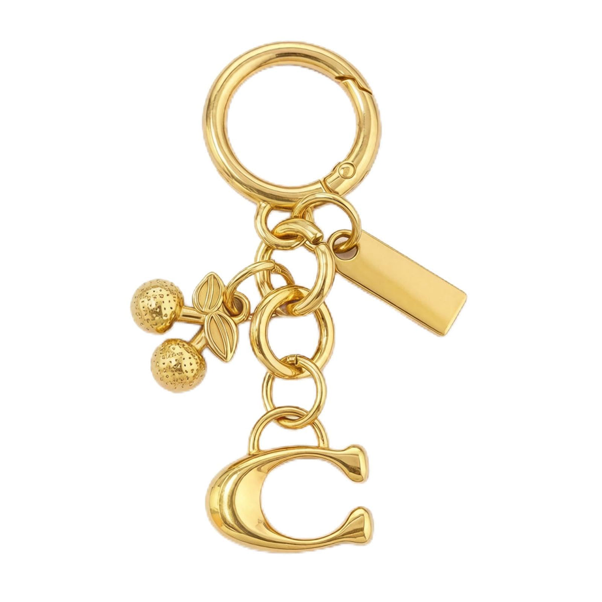 Elegant Purse Chain & Bag Charm for Women