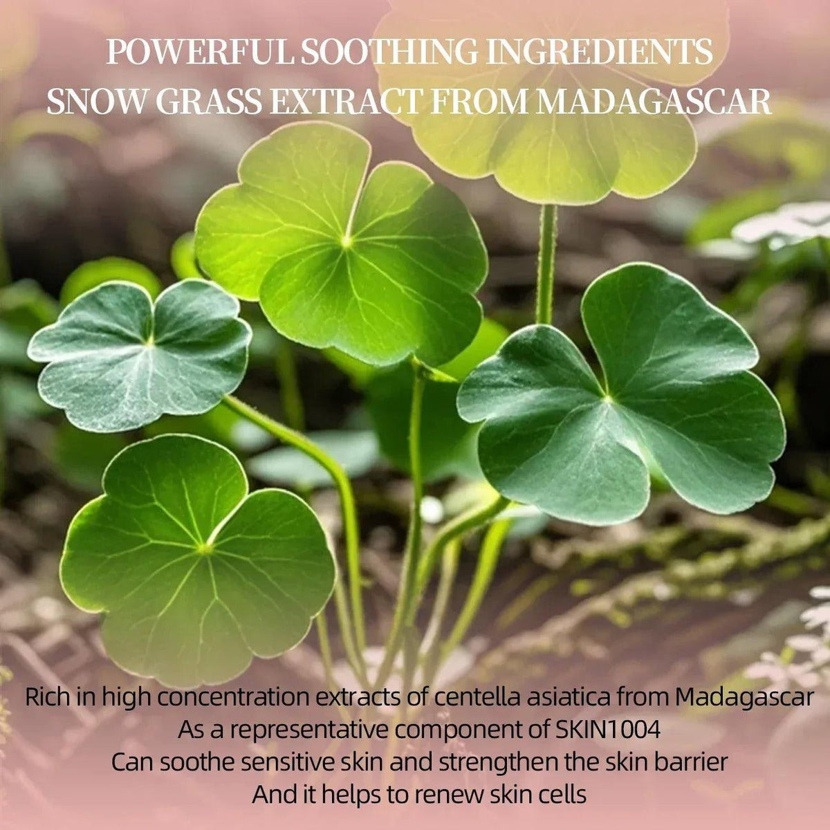 Himalayan Essence Hydrating Skincare Duo – Cleanser & Toner Set for Radiant, Balanced Skin - Dazzling Beauty Solution